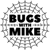 Podcast Bugs With Mike