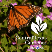Podcast Central Texas Gardener