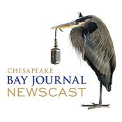 Podcast Chesapeake Bay Journal Newscast