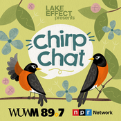 Podcast Chirp Chat