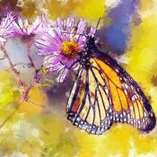 Podcast Climate Exchange