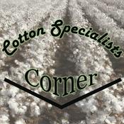 Podcast Cotton Specialists Corner