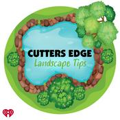 Podcast Cutters Edge Total Landscape Solutions