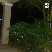 Podcast David Morris