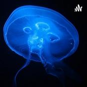 Podcast Deep Marine Scenes