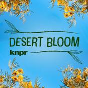 Podcast Desert Bloom