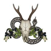 Podcast Diary Of A Folk Witch