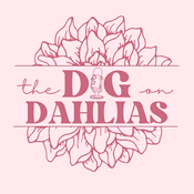 Podcast Dig on Dahlias