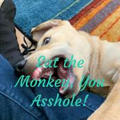 Podcast Eat the Monkey, You Asshole!