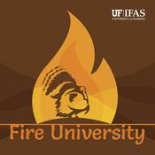 Podcast Fire University