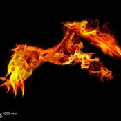 Podcast fireeagle's Podcast