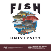 Podcast Fish University
