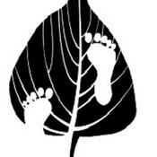 Podcast 佛教入門~雜阿含經講要~中道佛學會