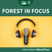 Podcast Forest in Focus Custer Gallatin National Forest