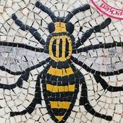 Podcast From The Hive