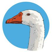 Podcast Game Goose