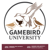 Podcast Gamebird University