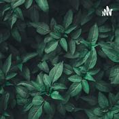 Podcast Georgios Jannik Podcast