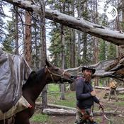 Podcast Mountain Man survival