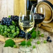 Podcast Grapes and Stuff
