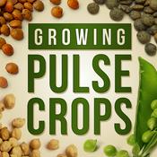 Podcast Growing Pulse Crops