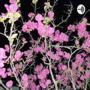 Podcast Harpreet Kaur