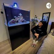 Podcast HarrisChat