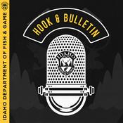 Podcast Hook & Bulletin