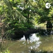 Podcast Hoy estaba pensando en...