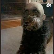 Podcast MatematiCast