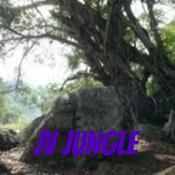 Podcast JV Jungle