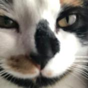 Podcast la pause d’hope