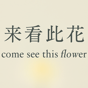 Podcast 来看此花