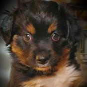 Podcast Leadership is Lonely