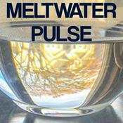 Podcast Meltwater Pulse Podcast