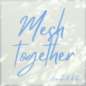Podcast Mesh Together