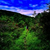 Podcast Morii and Cataclysm