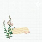 Podcast Noname