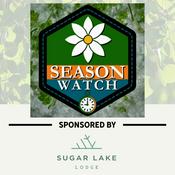 Podcast Season Watch