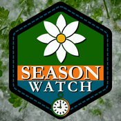 Podcast Season Watch