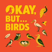 Podcast Okay, But... Birds