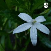 Podcast Olive in Borderland