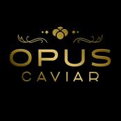 Podcast Opus Caviar Podcast: Exploring Caviar with Opus, Petrossian, Kaluga Queen & More