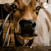 Podcast පාර්ලිමෙන්තු ජොකර්