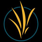 Podcast Parkview Christian Church Messages