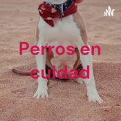 Podcast Perros en cuidad