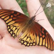 Podcast Práctica De Podcasts :3