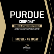 Podcast Purdue Crop Chat