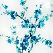 Podcast Realize os seus Projetos- Salmos 23 - Pregador Carlos Siqueira