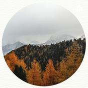 Podcast Scripture Memory